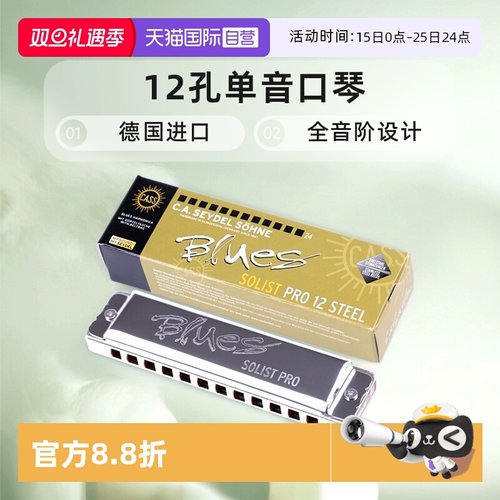 自营单音口琴SEYDEL12孔单音口琴