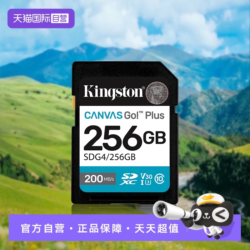 金士顿支持相机卡视频256g