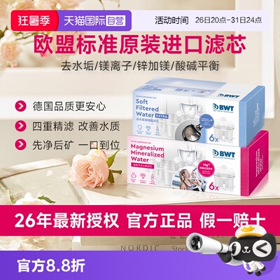 置换添加镁离子净水壶滤芯BWT