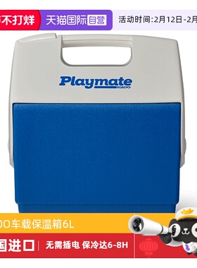 【自营】IGLOO户外迷你保温箱家用车载母乳保鲜食品药品冷藏箱6L