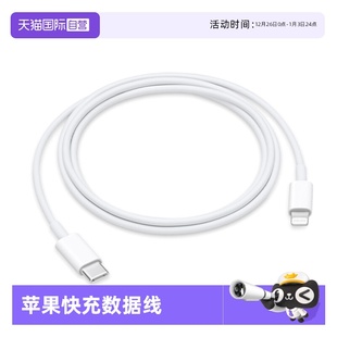 iPad 苹果Apple C接口快充PD协议数据线适用iPhone Lightning USB 数据线 原装 自营