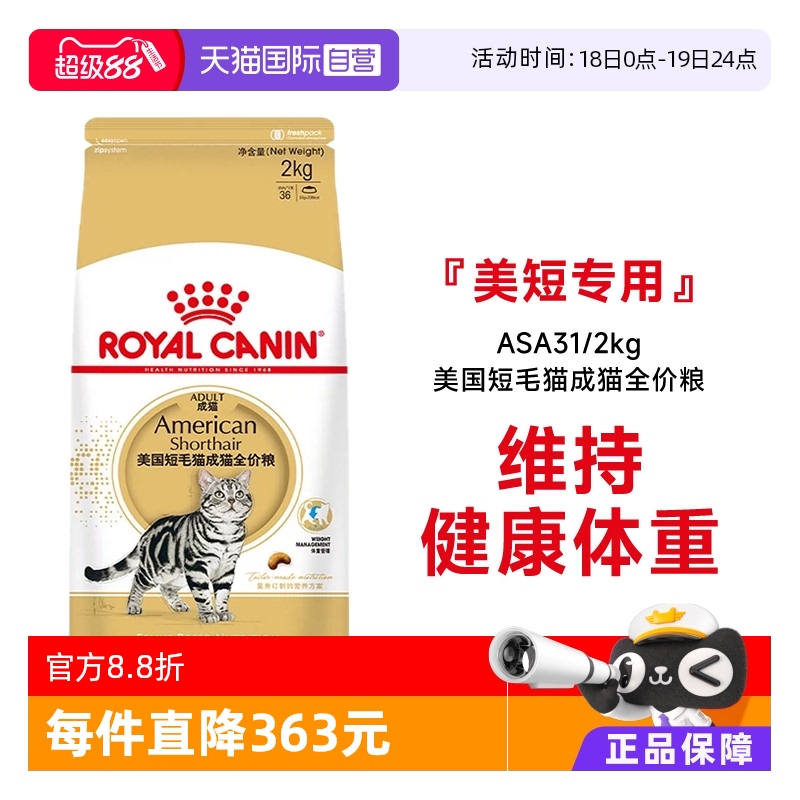 自营美国短毛猫成猫皇家