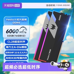 炫光 6000 c28 RGB灯条DDR5台式 宏碁掠夺者 24Gx2 内存条 自营