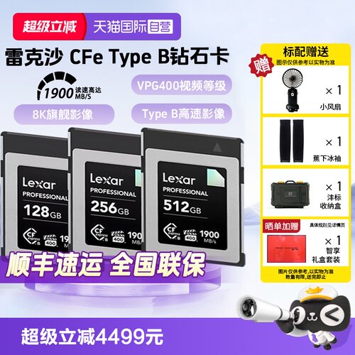 官方自营雷克沙TypeB相机储存卡