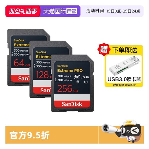 自营支持闪迪相机4KUHS-II