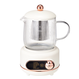 【自营】德国养生壶煮茶器多功能家用小型中药电煎壶熬汤保温烧水