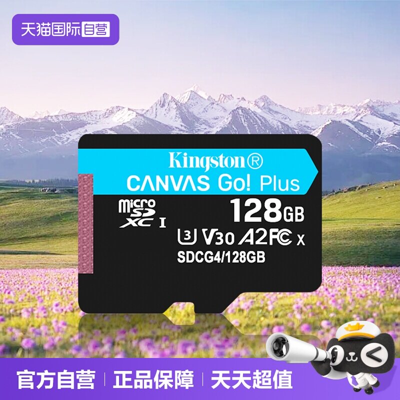 金士顿大疆gopro闪存卡图片
