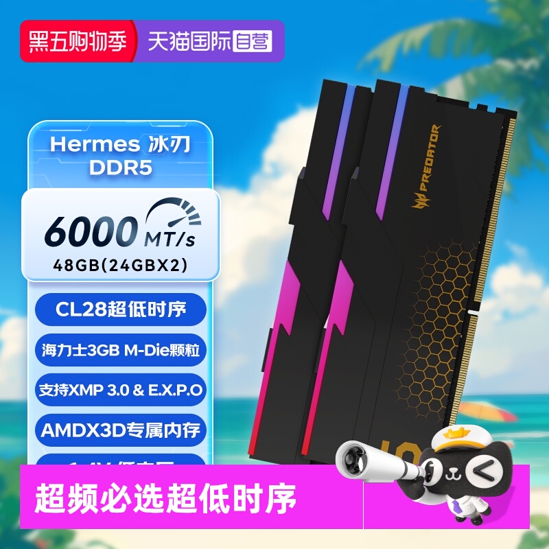 6000c2824Gx2台式内存条掠夺者