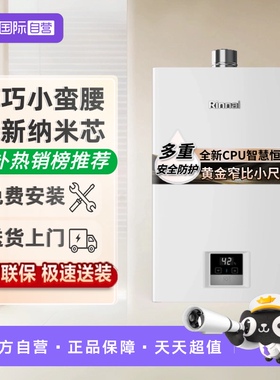 【自营】国补林内鲸吨吨24升燃气热水器GT11恒温GC21大水量GS41