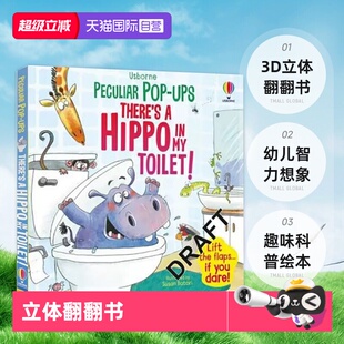 3D立体翻翻书 英文原版 Pop Toilet 幼儿智力想象趣味科普绘本 Usborne Hippo 23年新品 尤斯伯恩 There’s 自营