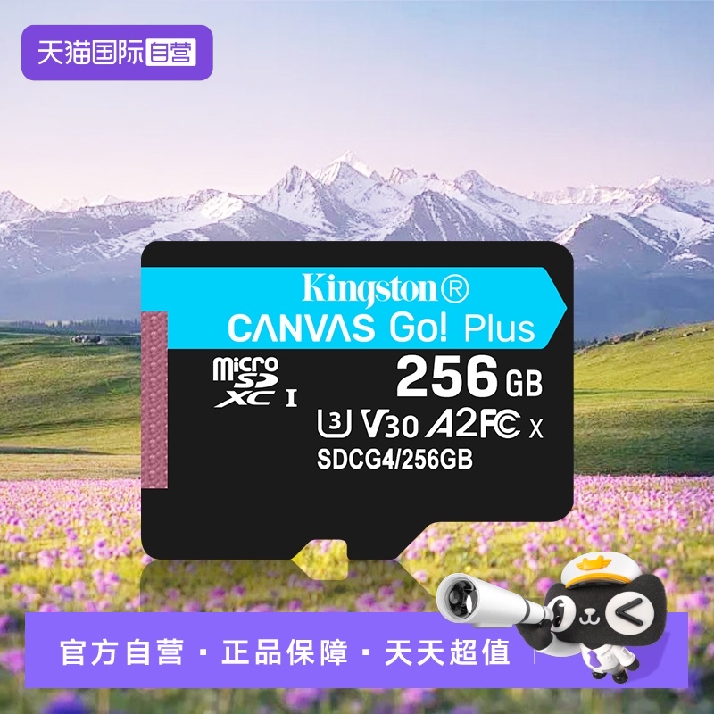 金士顿支持无人机256g内存卡