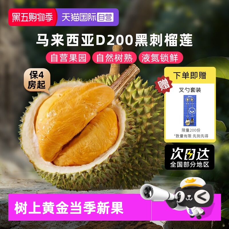 自营马来西亚黑刺榴莲整果树熟