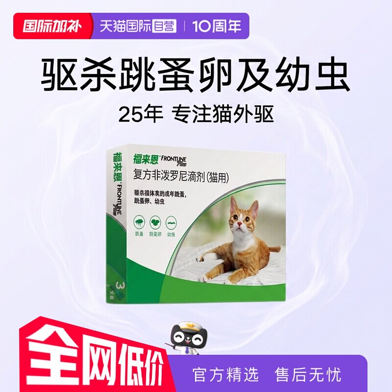 直营福来恩法国福来恩猫