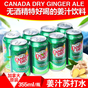 包邮 Ale 加拿大Canada Ginger 姜汁汽水干生姜水饮料8罐装 dry