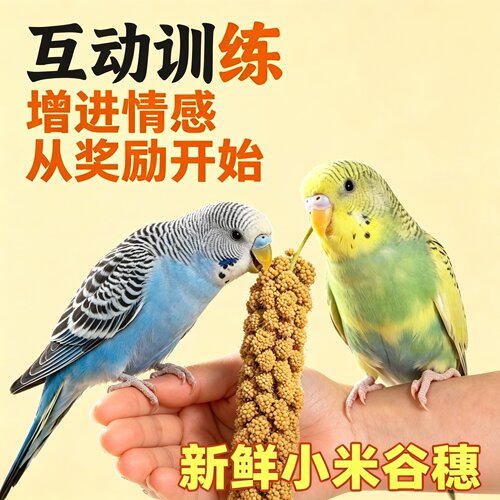 26年新谷穗谷子穗小米穗黄谷穗天然麦穗鹦鹉仓鼠逗棒包邮鹦鹉食物