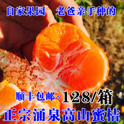 尹小姐 精品蜜桔 临海涌泉蜜桔黄岩蜜桔新鲜水果早熟宫川桔子蜜橘