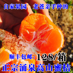 尹小姐 精品蜜桔 临海涌泉蜜桔黄岩蜜桔新鲜水果早熟宫川桔子蜜橘