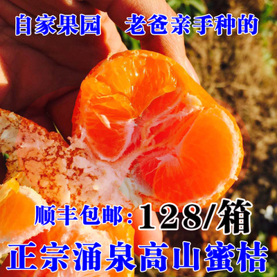 尹小姐精品蜜桔临海黄岩蜜桔宫川