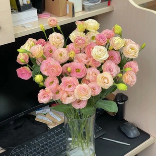 云南基地直发稀有色洋桔梗鲜花新鲜室内水培家用插花办公室