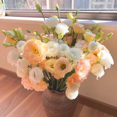 A级洋桔梗真花鲜花插花