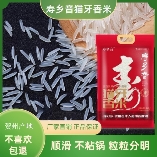 寿乡音猫牙香米广西贺州稻香米