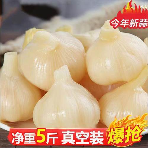 糖蒜头5斤整箱糖醋蒜泡菜山东大