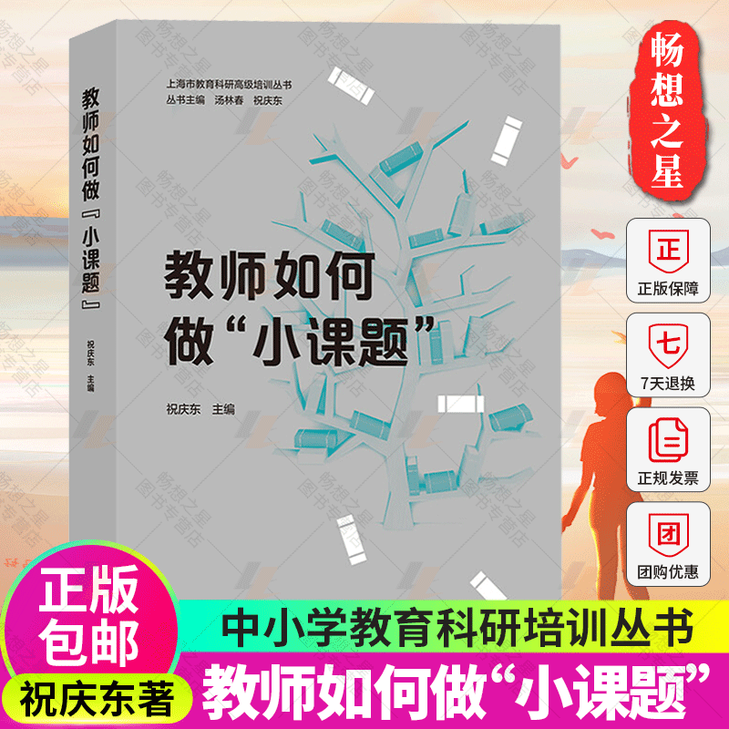 教师如何做小课题 上海市教育科研 培训丛书 中小学教育 幼儿园教师教学用书 学前教育专业幼儿教师书籍 教育类理论书籍怎么看?