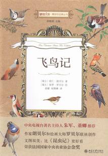正版包邮 飞鸟记 欧仁·朗贝尔 书店 动物世界书籍 畅想畅销书