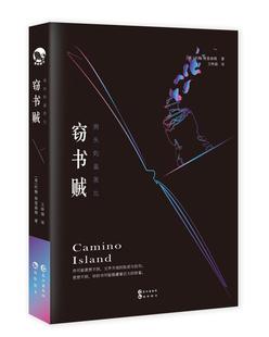 正版包邮 窃书贼 约翰·格里森姆 书店小说 书籍 畅想畅销书