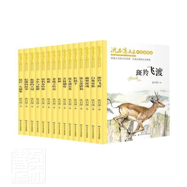 正版包邮 沈石溪画本:新版（全15册）沈石溪书店儿童读物书籍 畅想畅销书