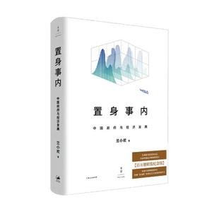 正版置身事内:与经济发展::兰小欢书店政治书籍 畅想畅销书