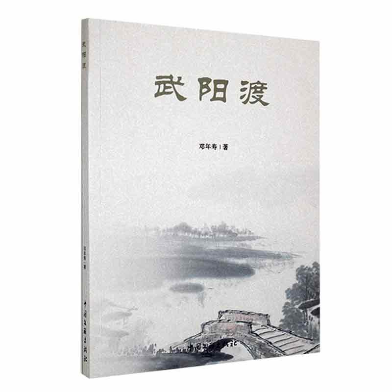 正版武阳渡邓年寿书店小说书籍 畅想畅销书