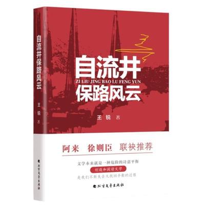 正版自流井保路风云王锐书店小说书籍 畅想畅销书