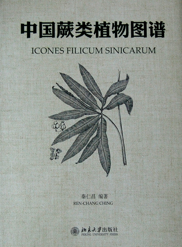 正版包邮 中国蕨类植物图谱 秦仁昌 书店 植物学书籍 畅想畅销书