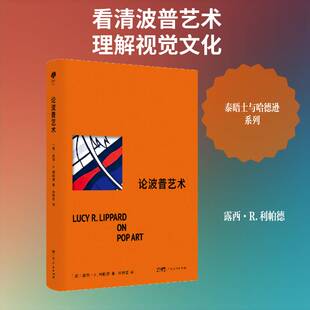 论波普艺术露西·利帕德图书书籍