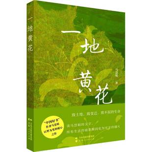 一地黄花马慧娟图书书籍