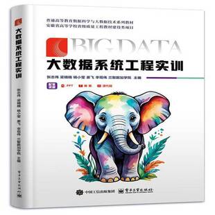 大数据系统工程实训 张志伟 著 高等学校大数据相关专业的实训教材 也可为数据工程从业者提供实践参考 电子工业出版社图书书籍