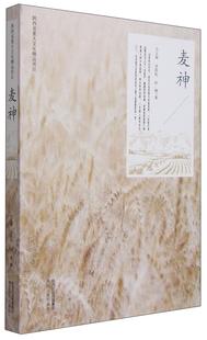 正版麦神马玉琛书店文学书籍 畅想畅销书