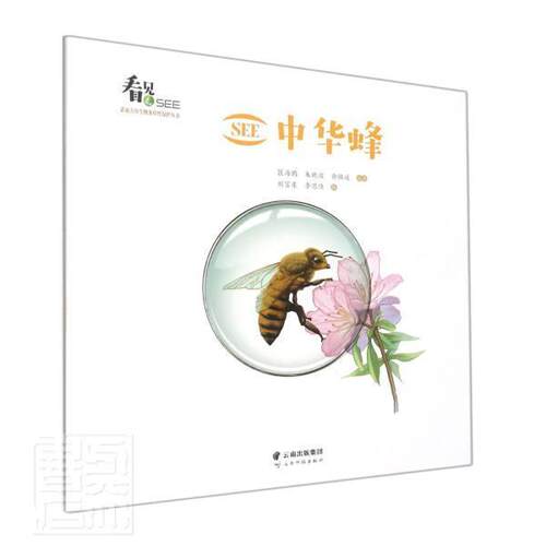 正版SEE中华蜂/SEE生物多样保护丛书者_匡海鸥朱余路遥责_唐慧首斌书店自然科学书籍 畅想畅销书
