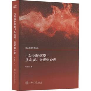 电站锅炉燃烧 微观到介观章明川图书书籍 从宏观