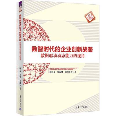 数智时代的企业创新战略:数据驱动动态能力的视角:a perspective on data-driven dynamic capabilities陈衍泰图书书籍