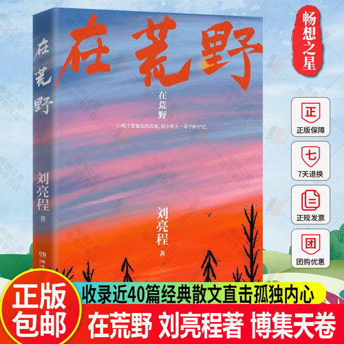博集天卷 】在荒野 刘亮程著 收录近40篇经典散文 直击无数人孤独内心 心地才是远的荒地 很少有人一辈子种好它 畅想之星