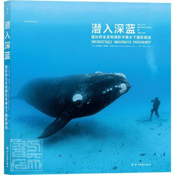 正版包邮 潜入深蓝(国际野生生物摄影年赛水下摄影)(精) 罗莎蒙德·基德曼·考克斯 书店传记 书籍 畅想畅销书