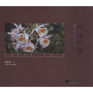 正版山花烂漫施晓春书店艺术书籍 畅想畅销书