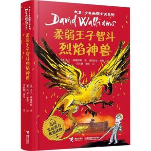 柔弱王子智斗烈焰神兽大卫·威廉姆斯儿童读物书籍