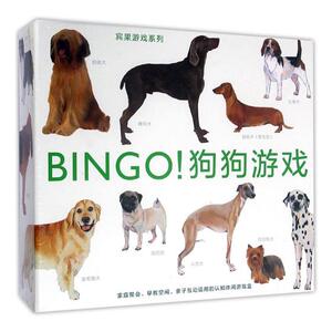 正版包邮 BINGO！狗狗游戏 艾玛·阿瓜多文 书店 益智游戏书籍 畅想畅销书