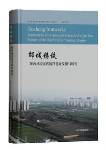 陕西省考古研究院 邰城铸铁：陕西杨凌汉代铸铁遗址发掘与研究 包邮 畅想畅销书 历史 书籍 书店 正版