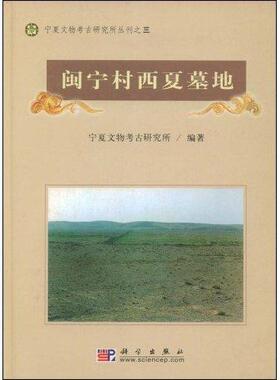 正常发货 正版包邮 闽宁村西夏墓地(精)/宁夏文物考古研究所丛刊 宁夏文物考古研究所 书店 遗址、陵墓书籍 畅想畅销书