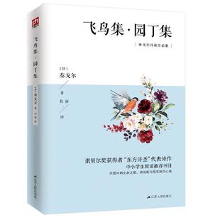正版 畅想畅销书 飞鸟集·园丁集泰戈尔书店中小学教辅书籍
