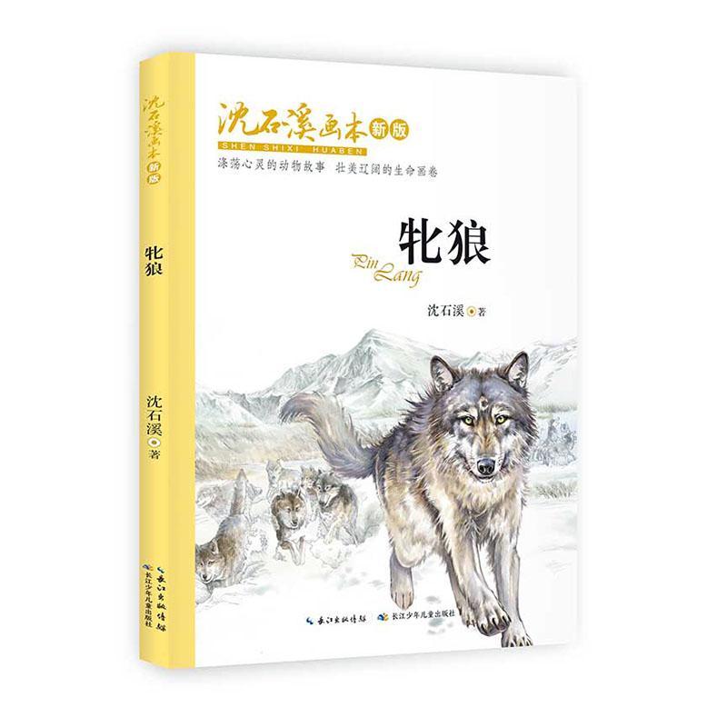 正版包邮 沈石溪画本（新版）·牝狼 一本母狼延续狼性的生命日记，赞颂直面残酷现实的勇气 沈石溪 书店少儿 书籍 畅想畅销书